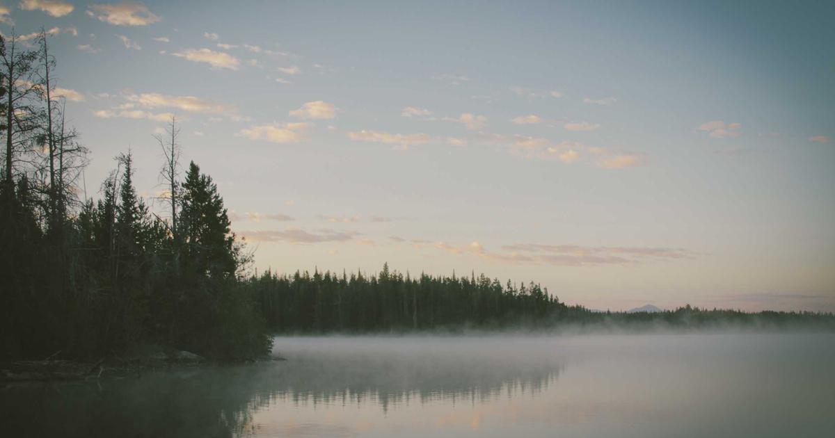 Vue 3 Composition API: Complete Guide