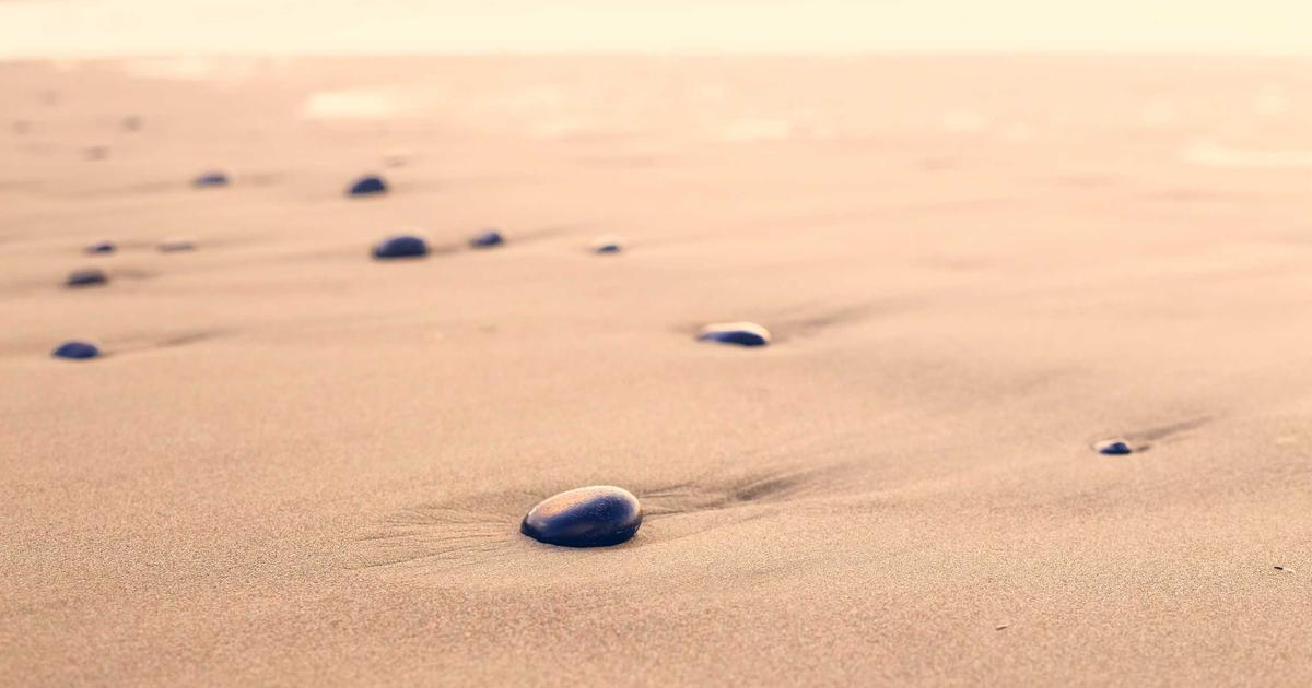 How to Use Vue Transitions and Animations