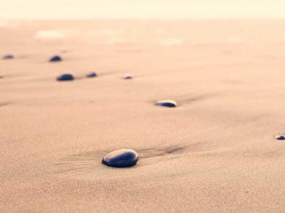 How to Use Vue Transitions and Animations