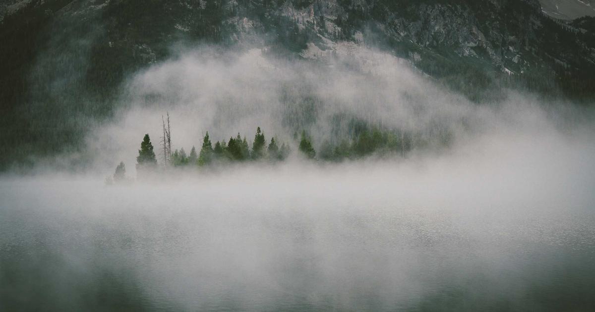 What is the Virtual DOM in React and how does it work?