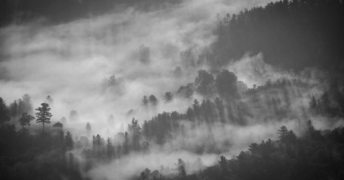 TanStack Query v5: Simplified API and Improved TypeScript Support