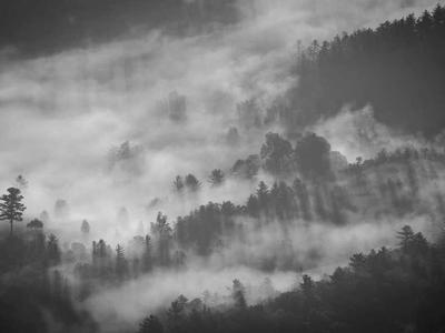 TanStack Query v5: Simplified API and Improved TypeScript Support