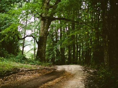 Dynamic Cache, Database, and Mail Builders in Laravel 11