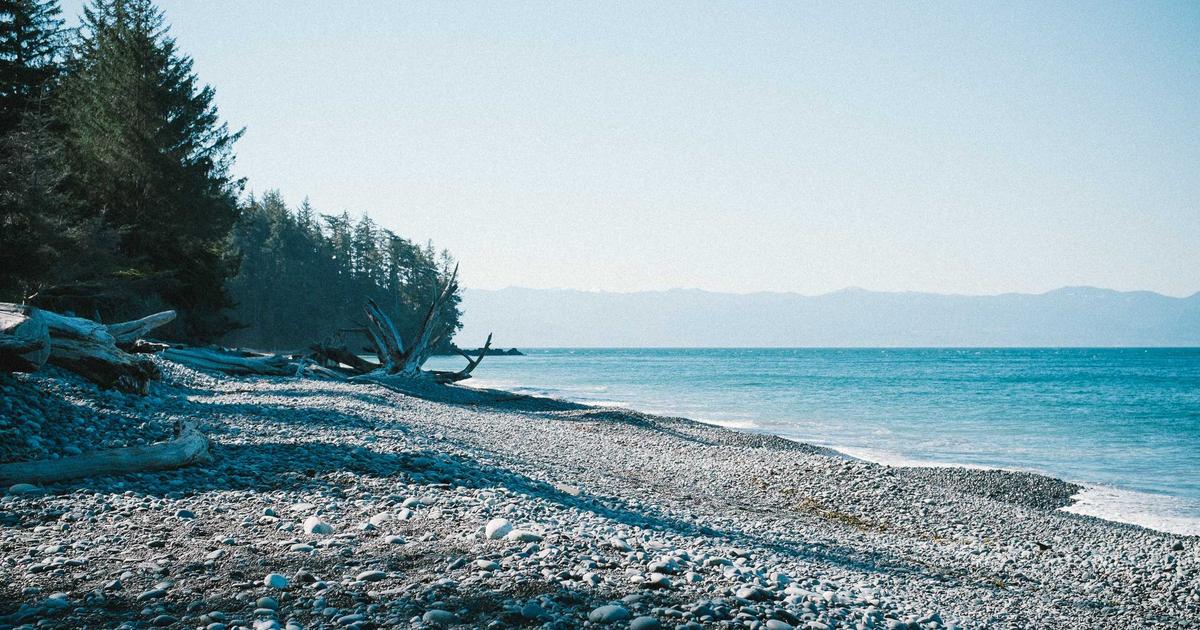 Build a REST API with Laravel Sanctum and Role-Based Access