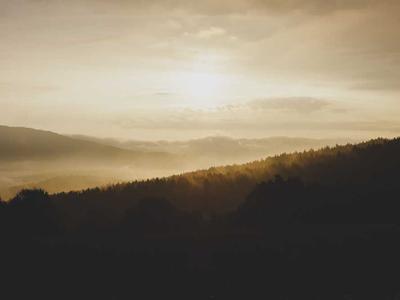 Build a Kanban Board with Vue 3 and Drag & Drop