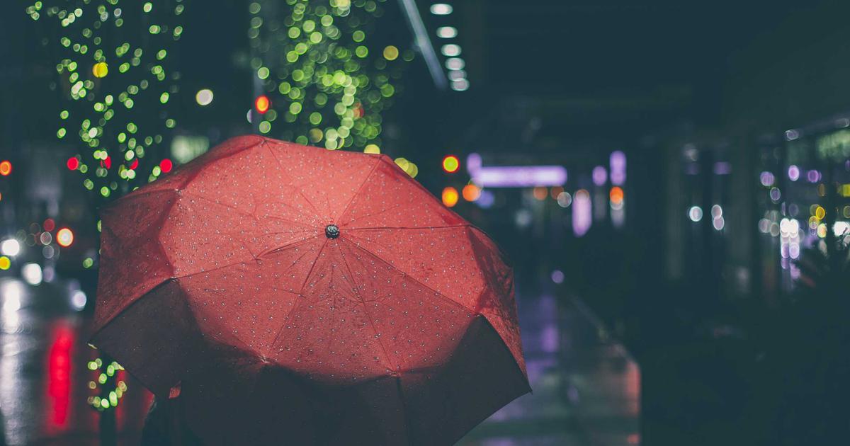 Email Validation using Laravel 11 DNS Validation