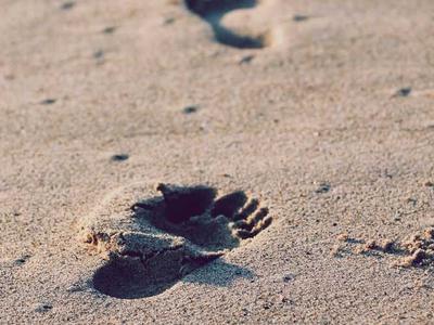 Laravel Access Laravel Pulse Data as a JSON API
